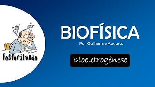 BIOELETROGÊNESE Potencial de ação II  BIOFÍSICA [upl. by Ahsirahc188]