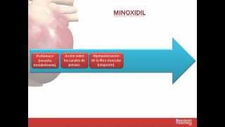 Tema 26 FARMACOLOGÍA CARDIOVASCULAR Fármacos indicados para la Hipertensión Arterial [upl. by Euqilegna]