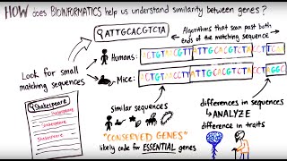 What is Bioinformatics [upl. by Weiler]