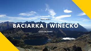 Baciary  Baciarka i Winecko Levelon Remix [upl. by Faydra]