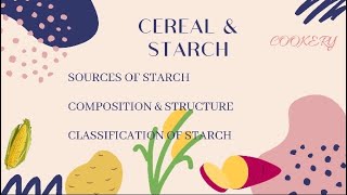 Starch amp Cereal  Sources  Composition and Structure  TLE  Cookery [upl. by Sabir]