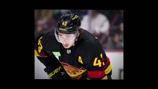 Who loves hockeys NHL Quinn Hughes Canucks [upl. by Aknahs]