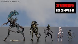 XENOMORPH Size comparison 3D  Alien Xenomorph 3d Animation Size Comparison [upl. by Osman]