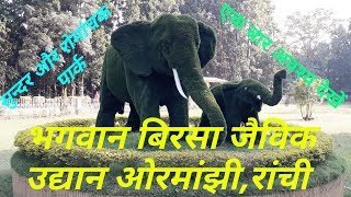 Bhagwan Birsa Biological Park  भगवान बिरसा जैविक उद्यान  ormanjhi zoo in ranchi  ormanjhi park [upl. by Finstad890]