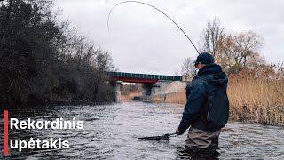 Žvejyba Šešupėje ir rekordinis upėtakis  Rainbow trout fishing [upl. by Allyce]