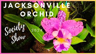 Orchids Gone Wild Jacksonville Orchid Society Show 2024 [upl. by Lanod]