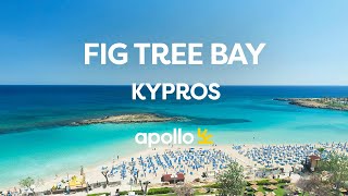 Fig Tree Bay Kypros – Perfekt for barnefamilier – Apollo Reiser [upl. by Dylane238]