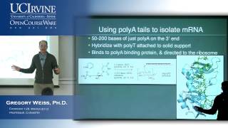 Introduction to Chemical Biology 128 Lecture 09 RNA part 2 [upl. by Eigna]