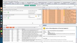 Burp Suite 2 Professional Automated Scanning [upl. by Vinia]