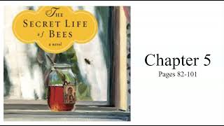 The Secret Life of Bees Chapter 5 pages 100101 [upl. by Oiratno]