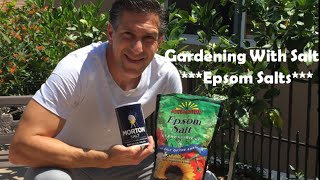 Gardening With EPSOM SALT For A Greener amp Healthier PlantDO NOT USE TABLE SALT [upl. by Benito197]