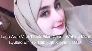 Lagu Arab Viral Tiktok Bikin Candu Wabina Maad Qusad Einii X Habbitak X Ayami Maak [upl. by Nujra]