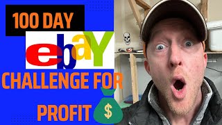 100 day eBay challenge How much profit can I make [upl. by Inavoig262]