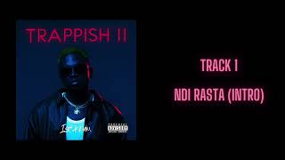 Ish Kevin  Ndi Rasta Intro Official Audio [upl. by Skvorak]