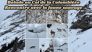 Balade au col de la colombiere [upl. by Grubman]