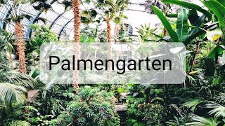 Лучший ботанический сад Европы Der Palmengarten  Frankfurts botanische Artenreiche [upl. by Cicily]