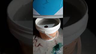 paints dark shade distemper coffee colour viralvideo viralshort satisfying [upl. by Ioab799]