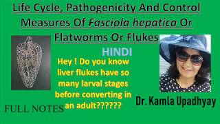 Fasciola hepatica Fasciola hepatica life cycle Flat worm Liver Fluke Fluke Liver rot [upl. by Cantlon]