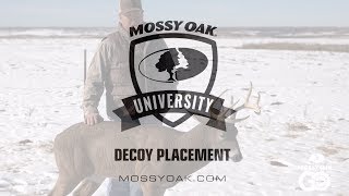 Whitetail Deer Decoy Placement Tips • Mossy Oak University [upl. by Geffner]