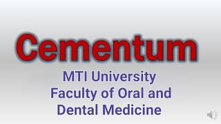 Oral Biology 1  Lec 4  Cementum [upl. by Ahsatel791]