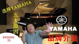 FIVE REASONS to buy YAMAHA piano  Yamaha历史介绍  为什么买Yamaha [upl. by Ekrub]