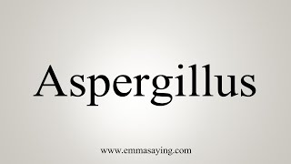 How To Say Aspergillus [upl. by Voltmer944]