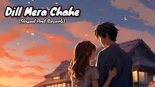 DRDill Mera Chahe Slowed And Reverb  Arijit Singh  Manish Sharma  dreditingguru [upl. by Artenal601]