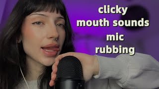 ASMR ₊˚ʚ ᗢ₊ Clicky mouth sounds mic rubbing mic gripping [upl. by Guarino399]