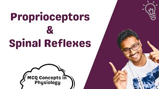 Proprioceptors amp Spinal Reflexes  MCQ concepts [upl. by Shuler]