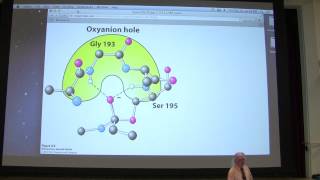 12 Kevin Aherns Biochemistry  Enzyme Mechanisms [upl. by Aeslek]