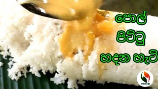 how to make pittu sri lankan style පිට්ටු හදන හැටි [upl. by Hallutama]