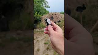 Seecamp 32 ACP Smallest Pistol Ever [upl. by Montana]