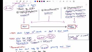 Antihypertensive Pharmacology  Calcium Channel blockers  lippincott katzung pharmacology [upl. by Chappelka162]