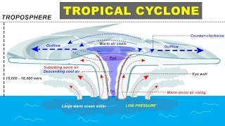 Tropical Cyclone Hurricane Storm Formation explained  Cyclone Biparjay in Arabian Sea Gujarat [upl. by Krm]