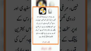 Be shak wo khaliqe kainat Akela ALLAH Hy shortsvideo informative motivation viralvideo [upl. by Kajdan]