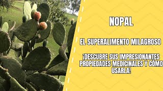 Nopal El Cactus Milagroso para Tu Salud [upl. by Akimihs]