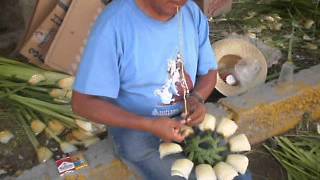 FLOR DE CUCHARILLA EN SANTIAGO CACALOXTEPEC [upl. by Aicnelev135]