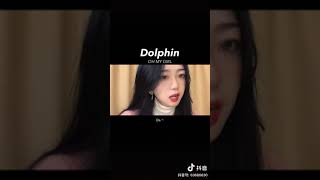 Dolphin  OH MY GIRL   Cover Cute [upl. by Christy]