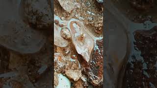 Herkimer Diamond Mining in NY⛏️💎 part5 crystals gems [upl. by Eniruam]