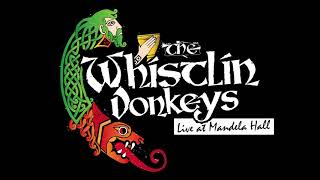 The Whistlin Donkeys  Star Of County Down  LIVE at Mandela Hall [upl. by Addam]