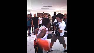 iShowSpeed Fight Manny Pacquiao 😂 [upl. by Gwyneth603]