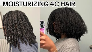 MOISTURIZING 4C HAIR  NATURAL HAIRCARE rayshelltv [upl. by Martella]