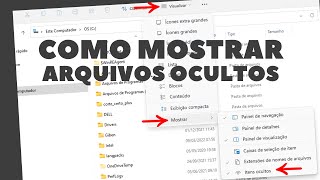 Como mostrar arquivos e pastas ocultas no windows 11 [upl. by Sharline]