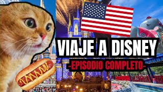 VIAJE A DISNEY  episodio completo meme de gatos [upl. by Annairdna]