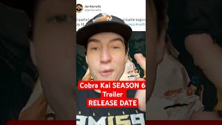 Cobra Kai Season 6 Official Trailer RELEASE DATE shorts cobrakai cobrakaiseason6 karatekid [upl. by Cresa]