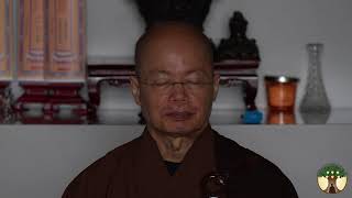 17 Chan Meditation with Master YongHua  20240608 [upl. by Miriam721]