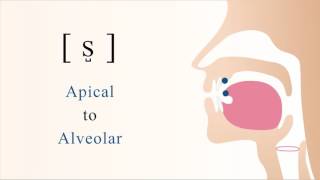 s̺  s  unvoiced apical alveolar sibilant fricative [upl. by Thayne]