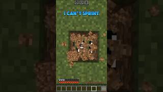 Minecraft but i cant sprint👀shortsgamingminecraft [upl. by Jareen38]