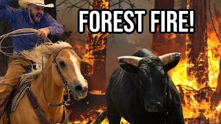 Saving Cattle From a FOREST FIRE [upl. by Eeznyl]