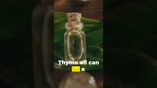 The benefits of the thyme plant منافع نبتة الزعتر [upl. by Agnes]